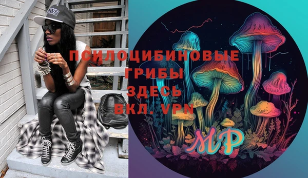 МДПВ Аркадак