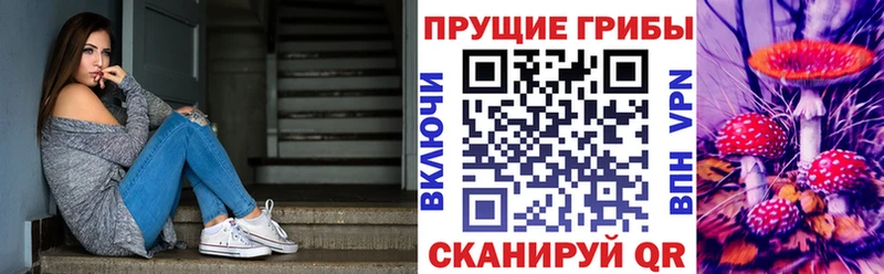 цена   Арск  Псилоцибиновые грибы GOLDEN TEACHER 